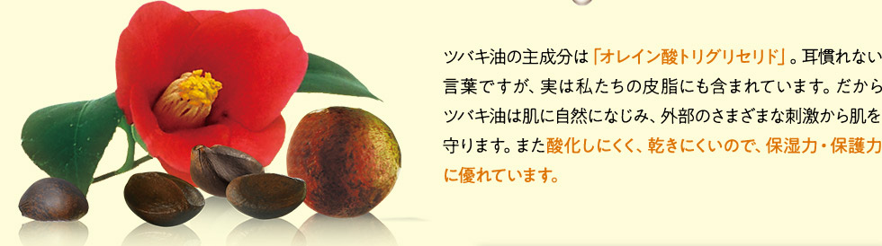 ツバキ油の主成分は「オレイン酸トリグリセリド」。耳慣れない言葉ですが、実は私たちの皮脂にも含まれています。だからツバキ油は肌に自然になじみ、外部のさまざまな刺激から肌を守ります。また酸化しにくく、乾きにくいので、保湿力・保護力に優れています。