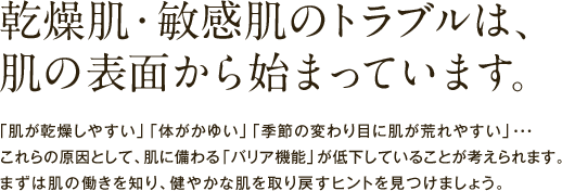 乾燥肌・敏感肌のトラブルは、肌の表面から始まっています。