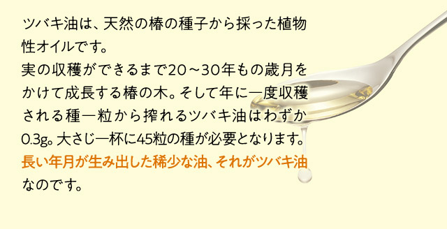 ツバキ油は、天然の椿の種子から採った植物性オイルです。実の収穫ができるまで20～30年もの歳月をかけて成長する椿の木。そして年に一度収穫される種一粒から搾れるツバキ油はわずか0.3g。大さじ一杯に45粒の種が必要となります。長い年月が生み出した稀少な油、それがツバキ油なのです。