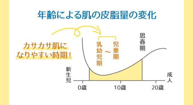 年齢による肌の皮膚量の変化